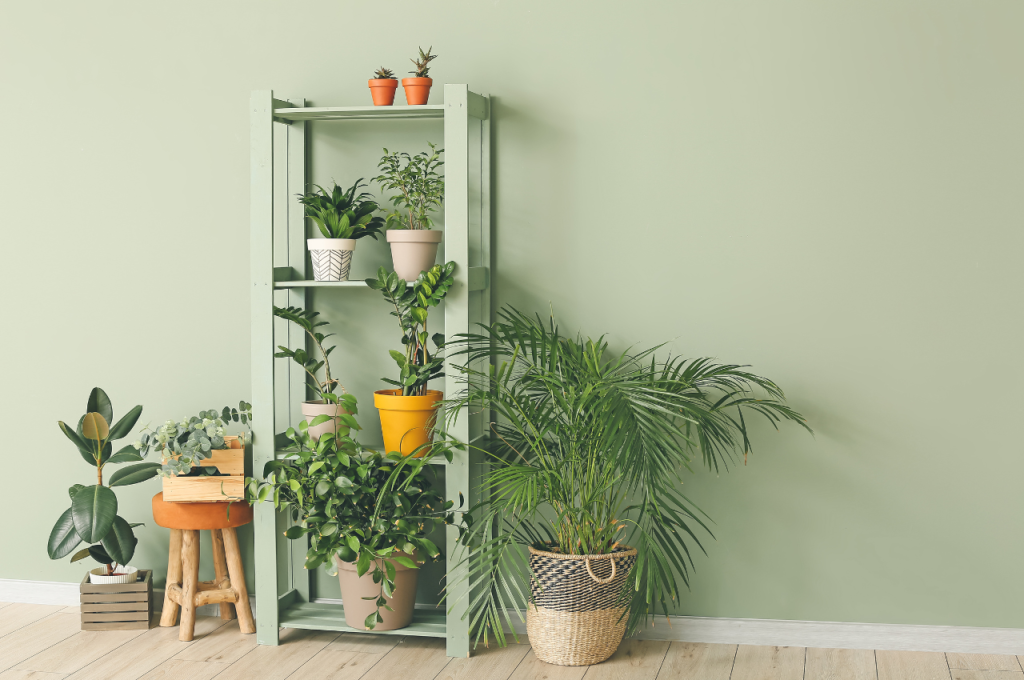 Modern home decor concepts